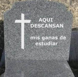 20111228202158-estudiar.jpg